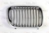 BMW 51138195152 Radiator Grille